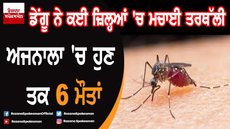 Dengue spreads in districts of Punjab