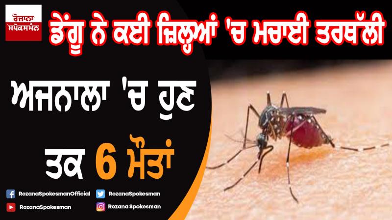 Dengue spreads in districts of Punjab Dengue spreads in districts of Punjab
