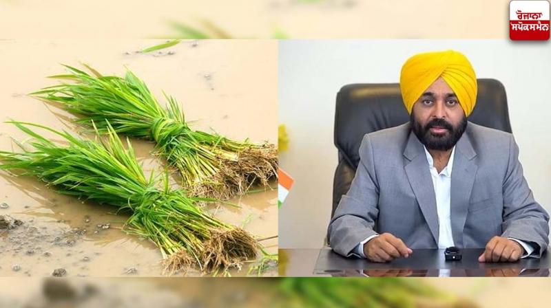 CM Bhagwant Mann CM Bhagwant Mann