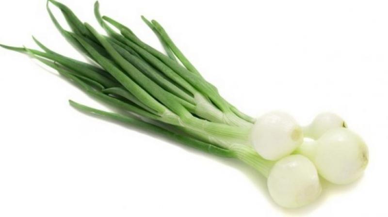 Green onion Green onion