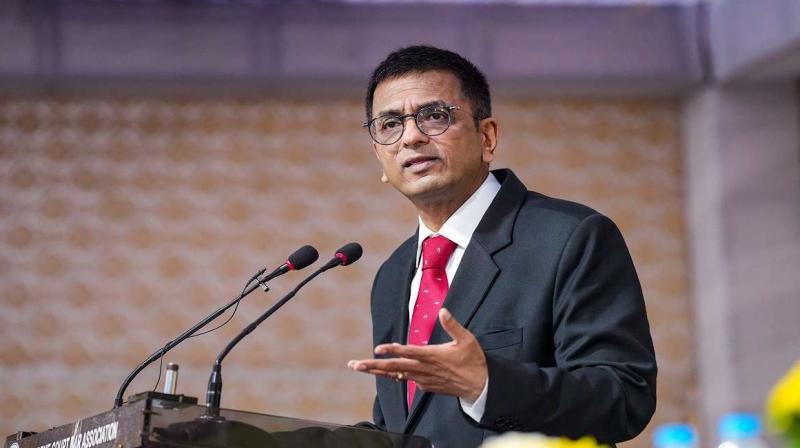 CJI DY Chandrachud CJI DY Chandrachud