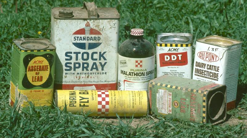 DDT Pesticide DDT Pesticide