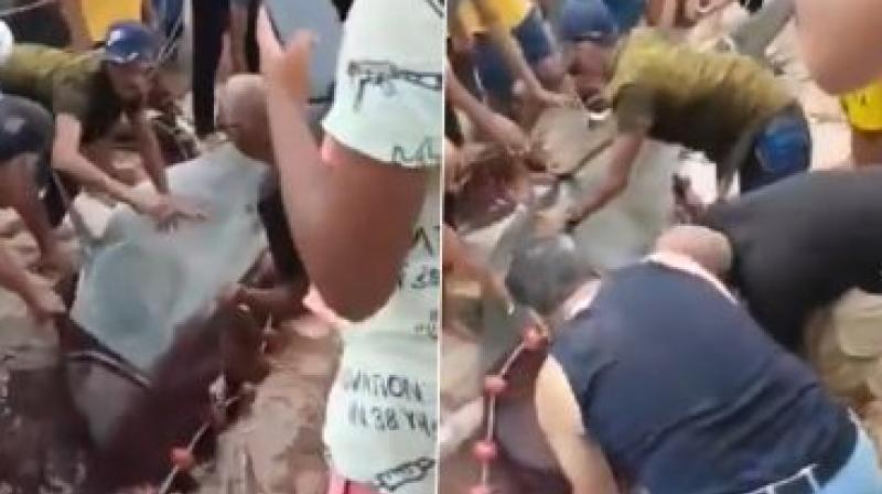 Shark Attack in Egypt: Locals Catch Tiger Shark Shark Attack in Egypt: Locals Catch Tiger Shark