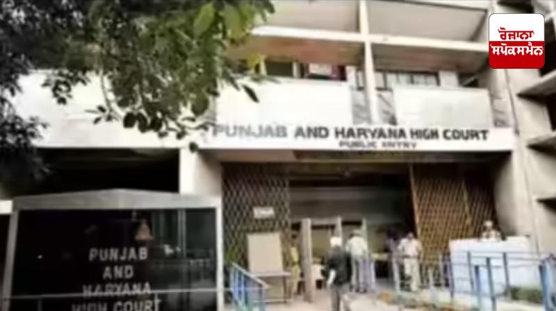 High Court rejects anticipatory bail plea of fraud accused High Court rejects anticipatory bail plea of fraud accused