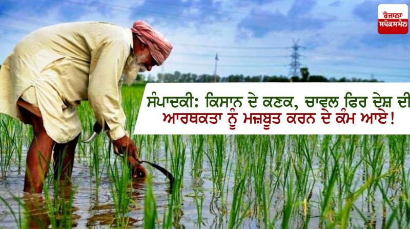 Farmer Farmer