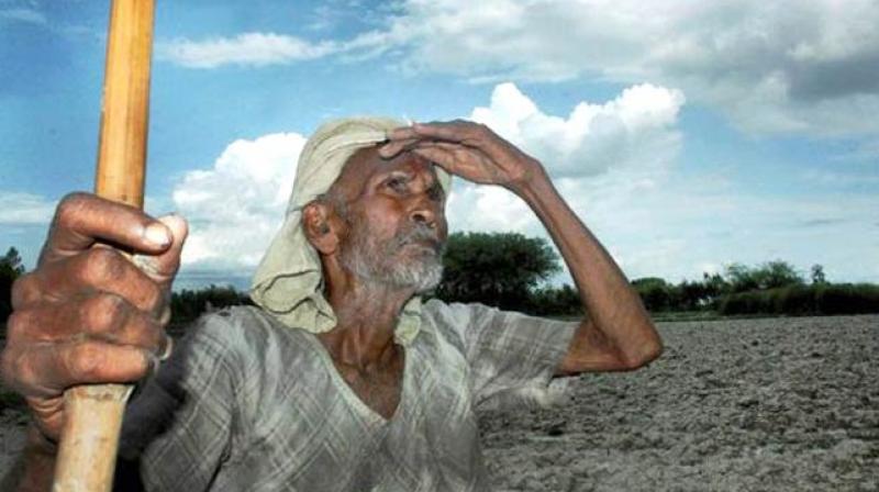 Farmers of Maharashtra