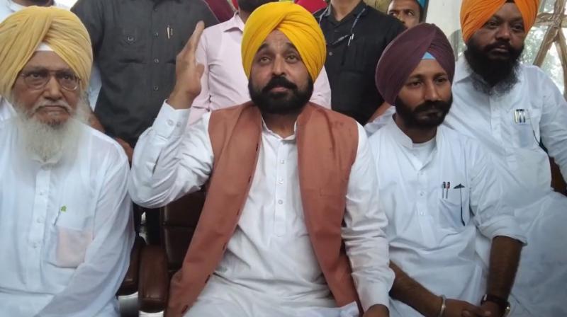 CM Bhagwant Mann CM Bhagwant Mann
