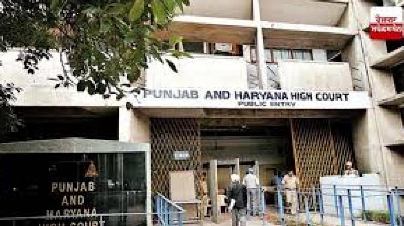 Punjab-Haryana High Court: High Court cancels anticipatory bail in drug cases Punjab-Haryana High Court: High Court cancels anticipatory bail in drug cases