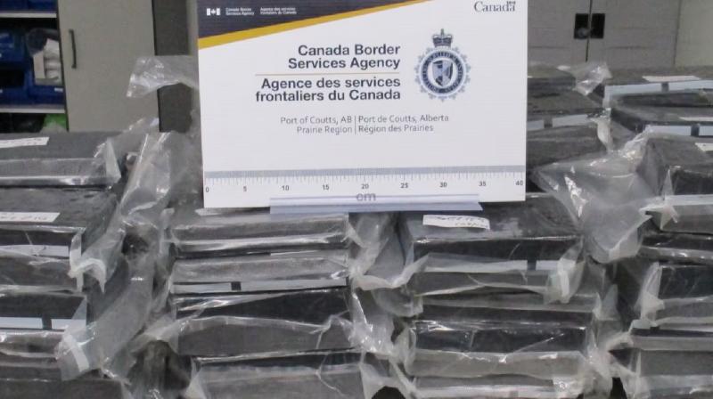 108 kg of cocaine seized at Canada border News 108 kg of cocaine seized at Canada border News