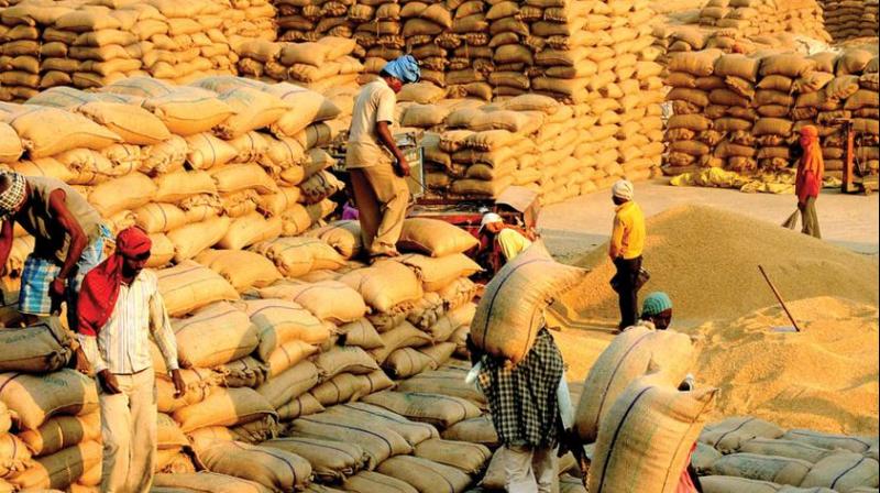 Paddy purchase of 5844672 metric tonnes in the state
