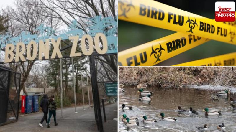 Disease outbreak suspected after 15 birds die at New York City zoos Disease outbreak suspected after 15 birds die at New York City zoos