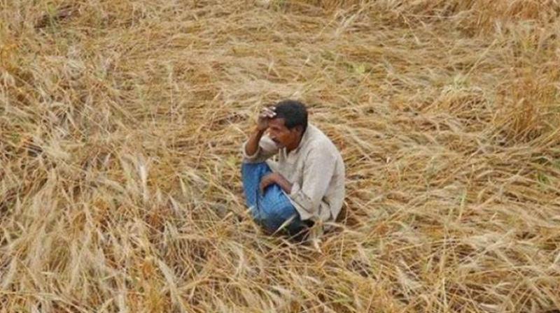 Farmers-still-unaware Farmers-still-unaware