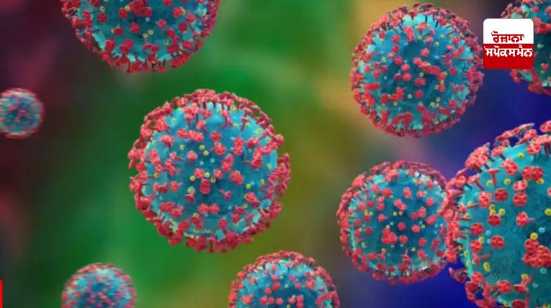 12 cases of HMPV Virus in india news in punjabi 12 cases of HMPV Virus in india news in punjabi