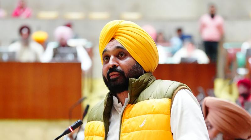 CM Bhagwant Mann CM Bhagwant Mann
