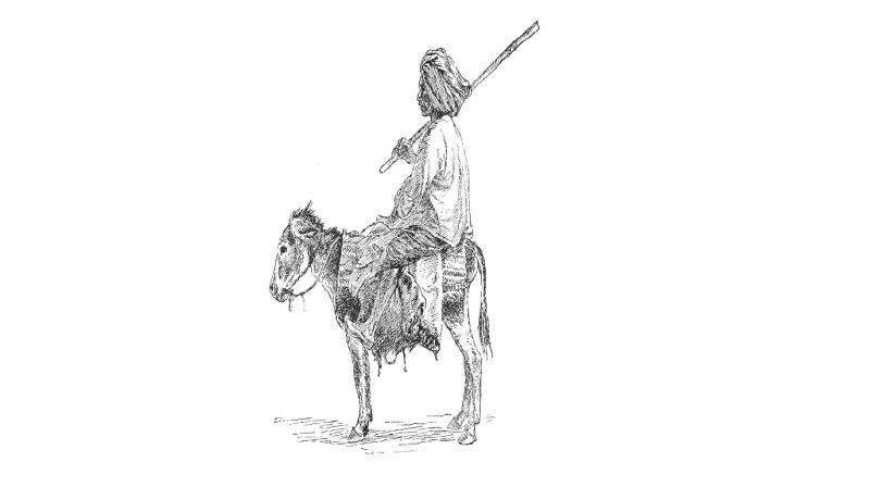 Potter and Donkey Potter and Donkey