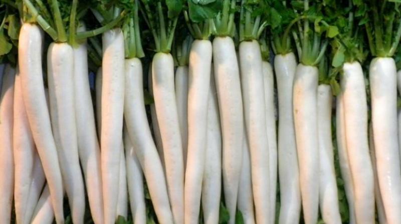 Radish Radish