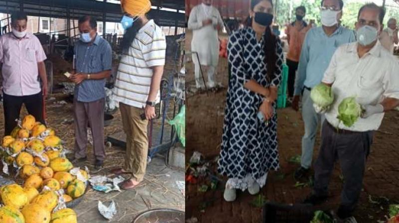 55.34 quintals of fruits and vegetables destroyed during checking: Pannu
