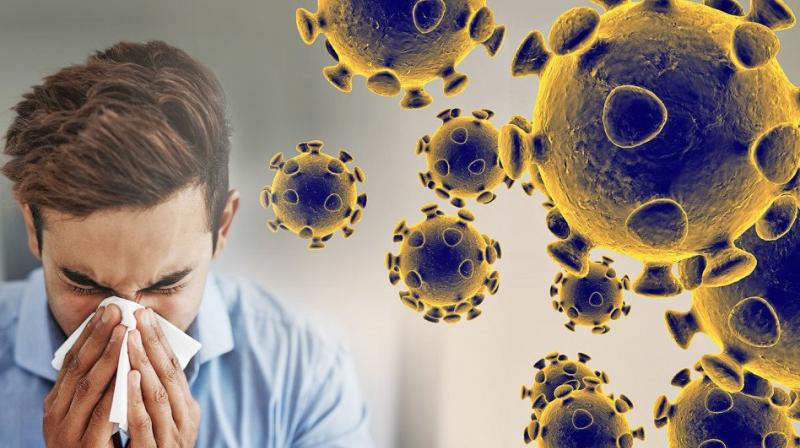 Corona Virus Corona Virus