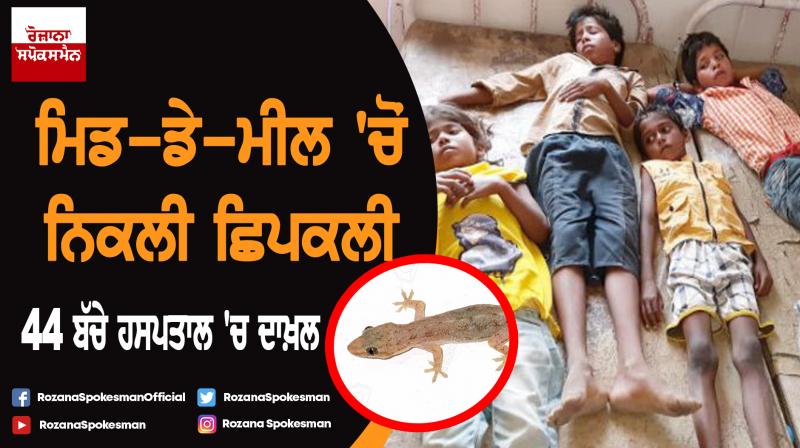 Bihar : Lizard found in mid day meal, 45 children got ill