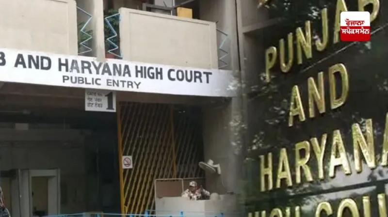 Man sentenced to three months in jail for stealing bicycle and slippers Man sentenced to three months in jail for stealing bicycle and slippers