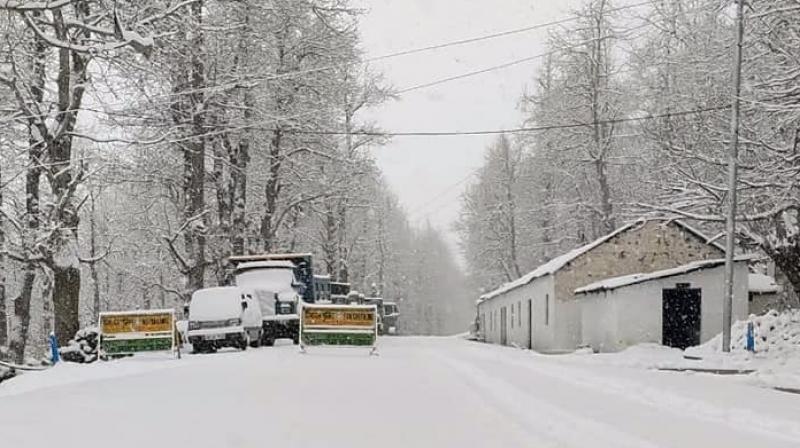 snowfall snowfall