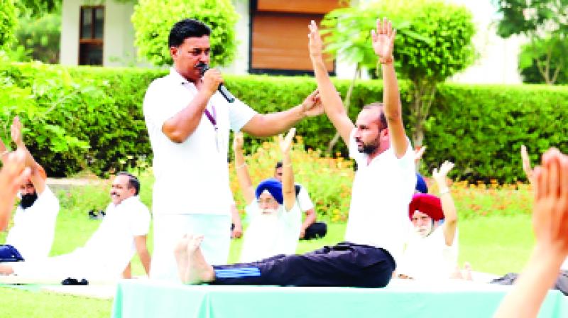 People Doing Yoga 