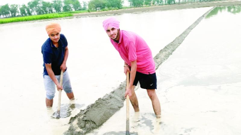 Farmer's Farmer's