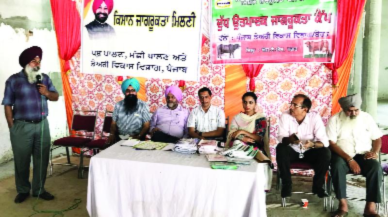 Camp for Milk Producers Camp for Milk Producers