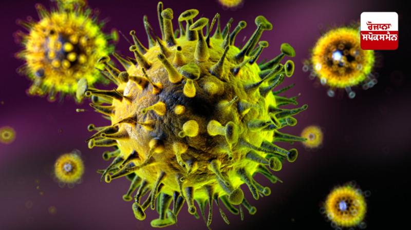 18 cases of HMPV like corona virus in the country, another child is positive in Puducherry 18 cases of HMPV like corona virus in the country, another child is positive in Puducherry