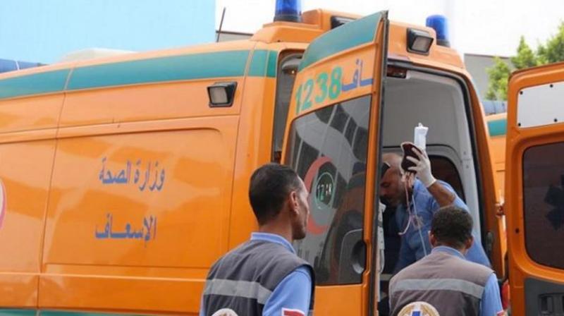 Egypt: 10 killed in truck-minibus collision Egypt: 10 killed in truck-minibus collision