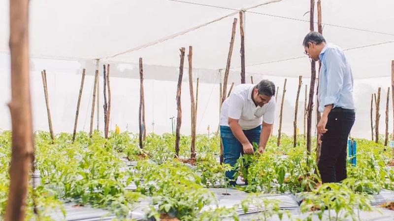 Indian startup 'Kheyti ' among the five winners of the Earthshot Awards Indian startup 'Kheyti ' among the five winners of the Earthshot Awards