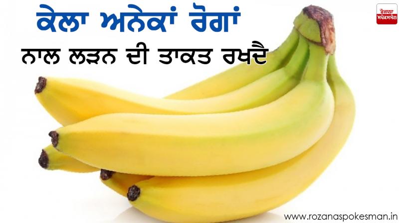 Banana Banana