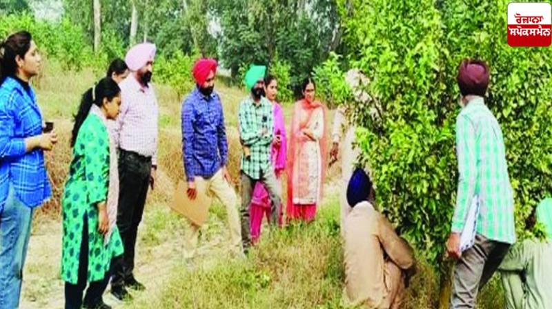 Kinnu farming Muktsar sahib News Kinnu farming Muktsar sahib News