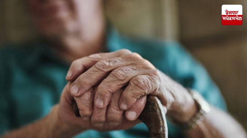 Kerala has the highest number of elderly people in the country News Kerala has the highest number of elderly people in the country News