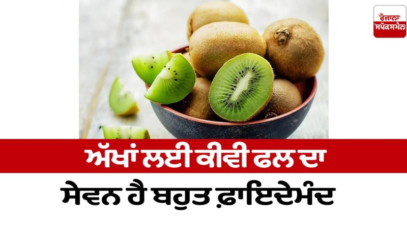 Consuming kiwi fruit is very beneficial for the eyes Health News Consuming kiwi fruit is very beneficial for the eyes Health News