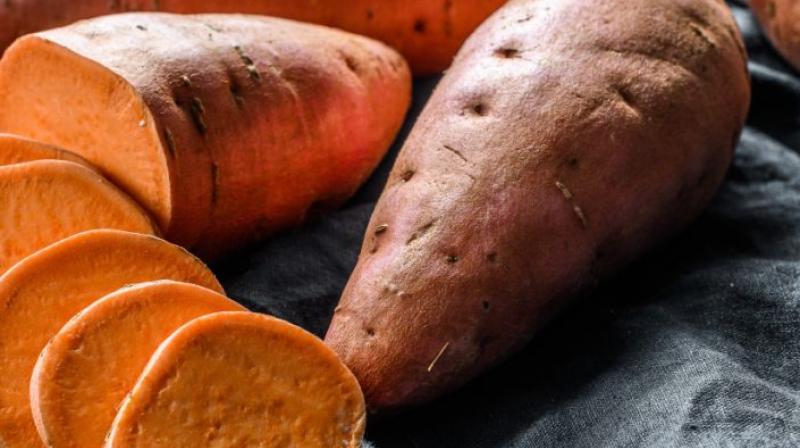 Sweet potato removes heart diseases Sweet potato removes heart diseases