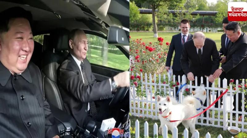Putin Gets Two Dogs As Gift From Kim Jong Un During Visit Putin Gets Two Dogs As Gift From Kim Jong Un During Visit