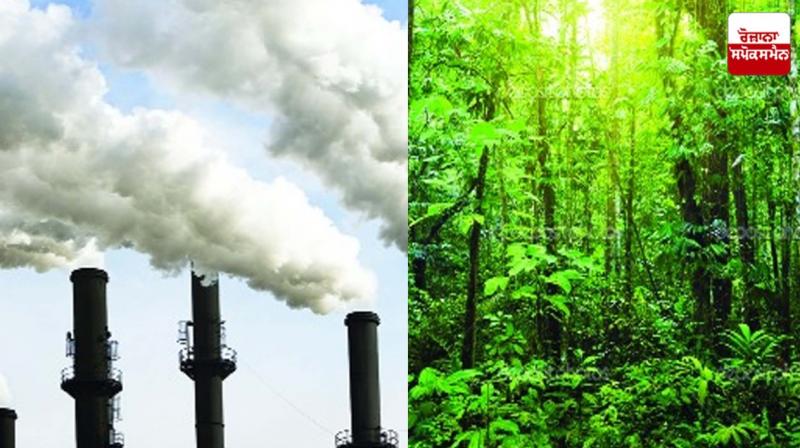 special artical mattewara forest special artical mattewara forest