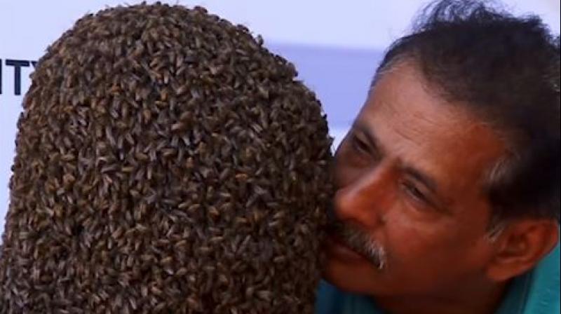 Bees Bees