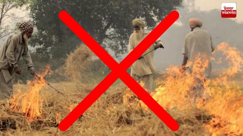 This time straw will not be burnt in Haryana News This time straw will not be burnt in Haryana News