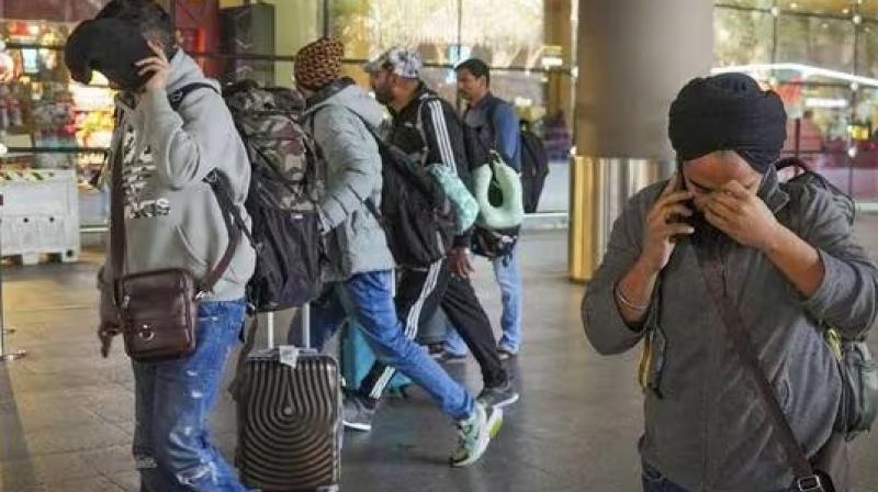 Flight from France: Over 70% ‘returnees’ hail from Punjab Flight from France: Over 70% ‘returnees’ hail from Punjab