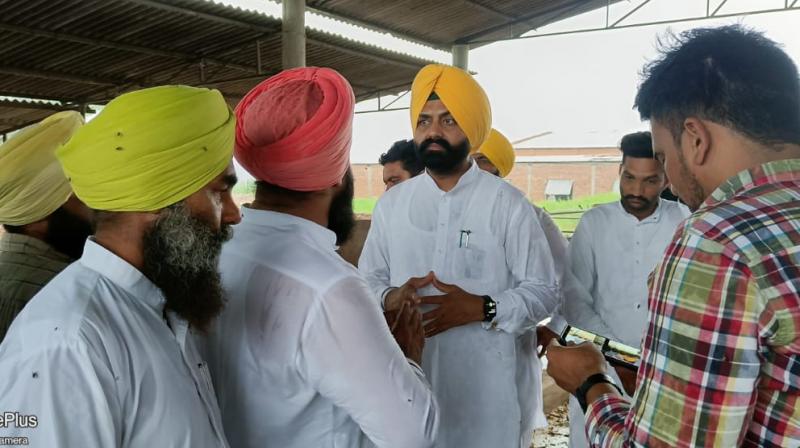 66,666 doses of Goat Pox medicine ordered to prevent lumpy skin disease: Laljit Singh Bhullar 66,666 doses of Goat Pox medicine ordered to prevent lumpy skin disease: Laljit Singh Bhullar