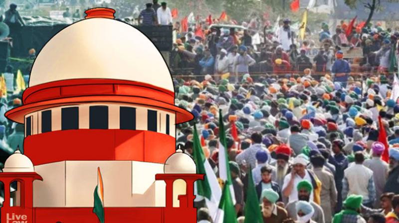 Agriculture law, Supreme Court Agriculture law, Supreme Court