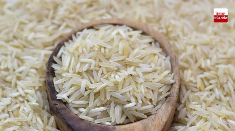 Karnataka rejected the rice of Punjab Karnataka rejected the rice of Punjab