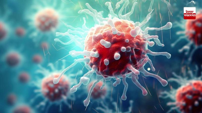 Cancer rampage in Haryana; Every month 3 thousand new patients, 1500 deaths Cancer rampage in Haryana; Every month 3 thousand new patients, 1500 deaths