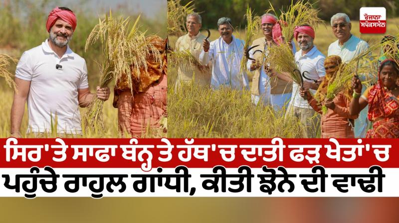 Rahul Gandhi in field Rahul Gandhi in field