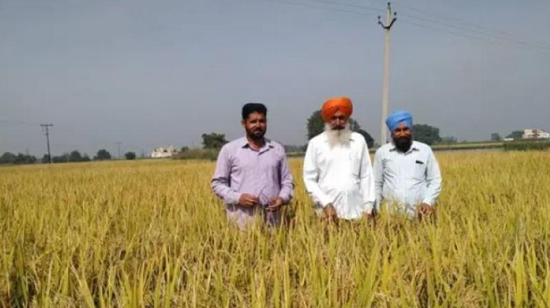 Apply pm kisan samman nidhi scheme new registration and aadhar correction Apply pm kisan samman nidhi scheme new registration and aadhar correction