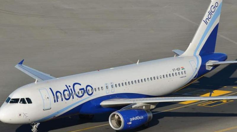 IndiGo Flies Passenger To Rajasthan Instead Of Bihar, Probe Ordered IndiGo Flies Passenger To Rajasthan Instead Of Bihar, Probe Ordered