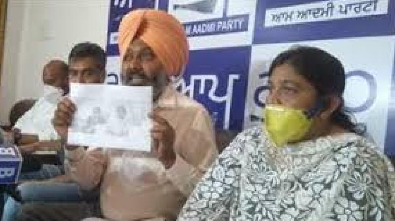 Harpal Cheema Harpal Cheema