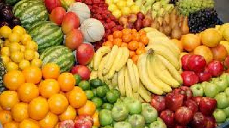 Fruit Fruit